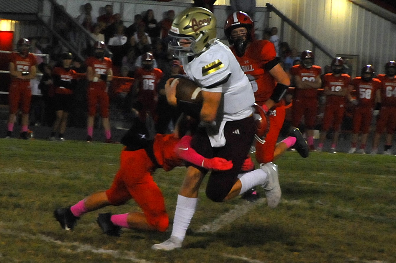 Photo by Tom Lisella.